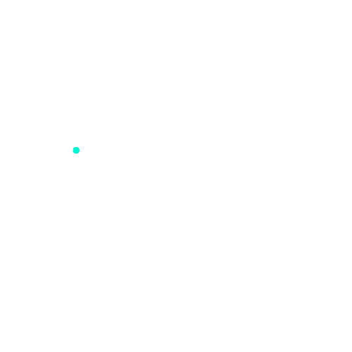 Aleem logo